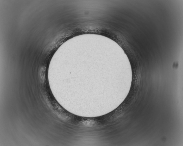X0000115630695200912221249
