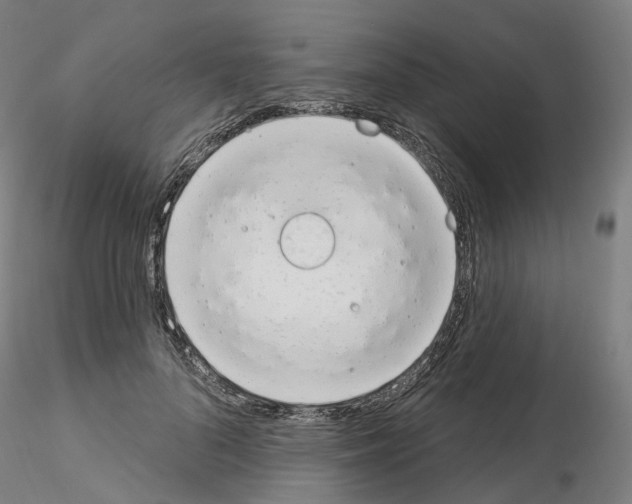 X0000115630696200912221249
