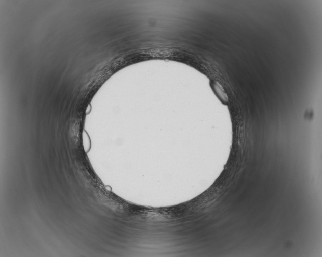 X0000115630697200912221249