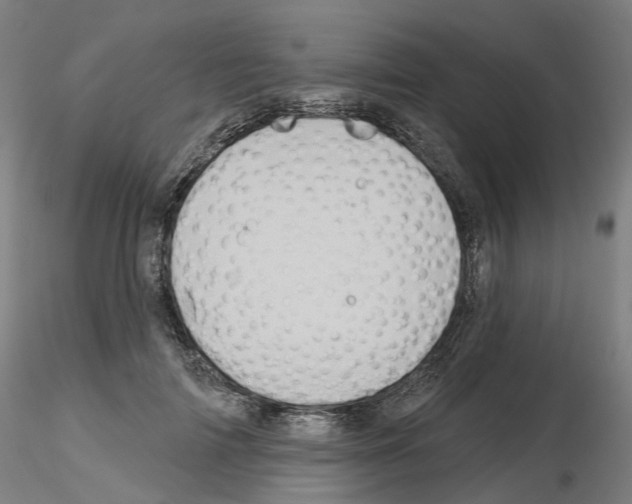 X0000115630698200912221249