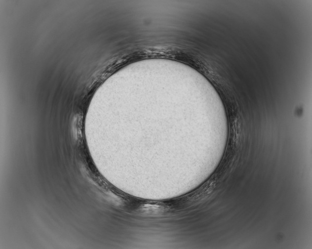 X0000115630699200912221249