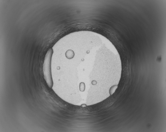 X0000115630700200912221249