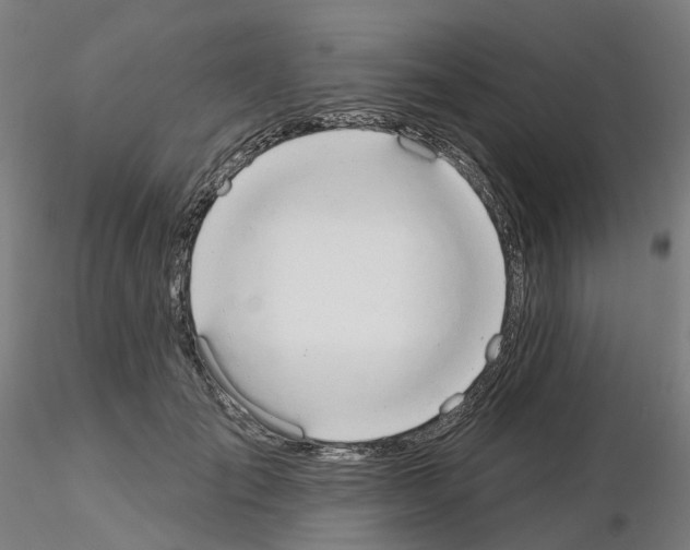 X0000115630701200912221249