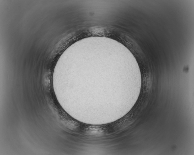 X0000115630702200912221249