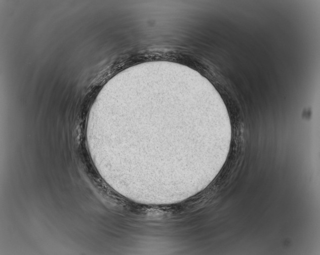 X0000115630703200912221249
