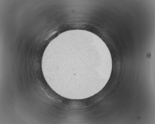X0000115630704200912221249