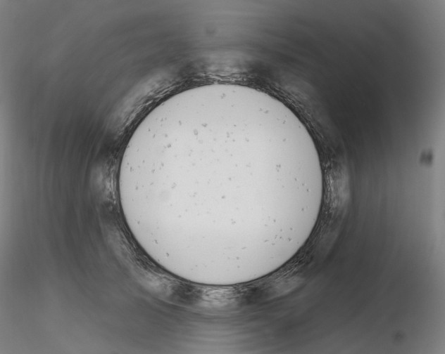 X0000115630705200912221249