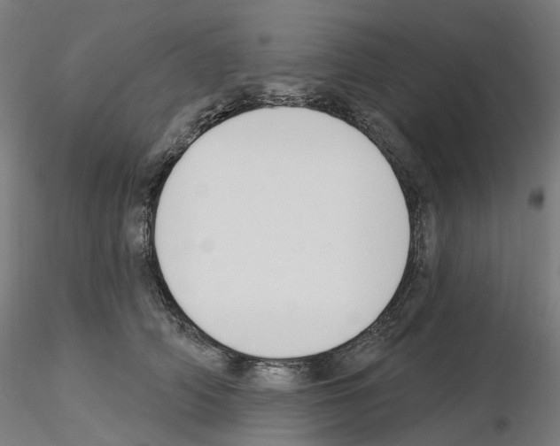 X0000115630706200912221249