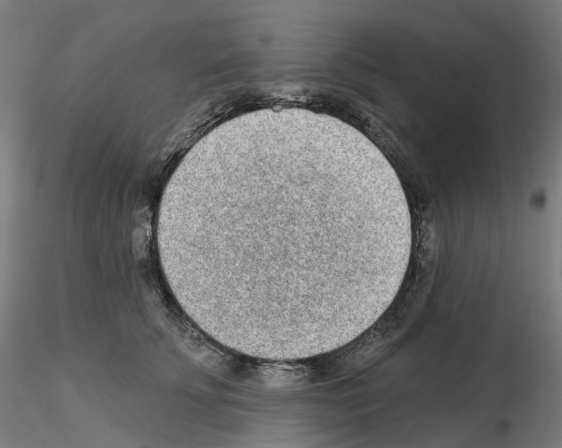 X0000115630707200912221249