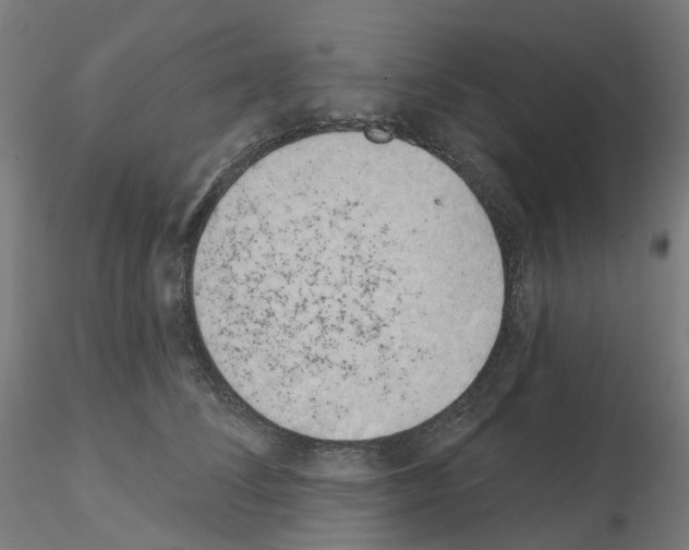 X0000115630708200912221249