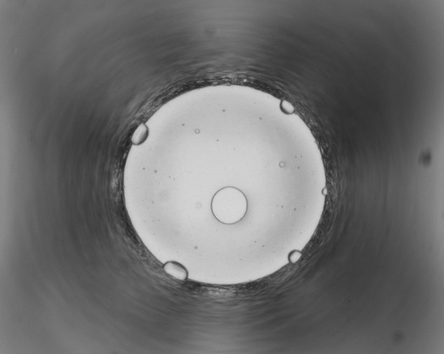 X0000115630709200912221249