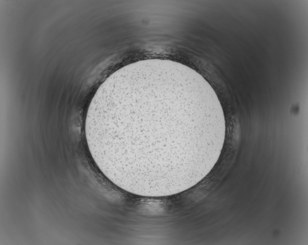 X0000115630710200912221249