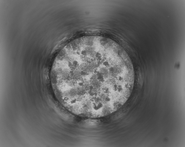 X0000115630711200912221249
