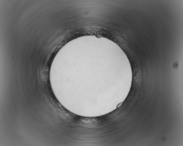 X0000115630712200912221249