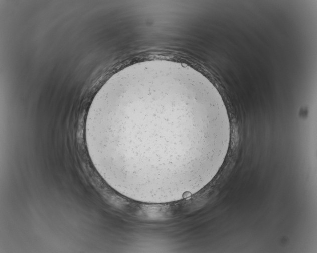 X0000115630713200912221249