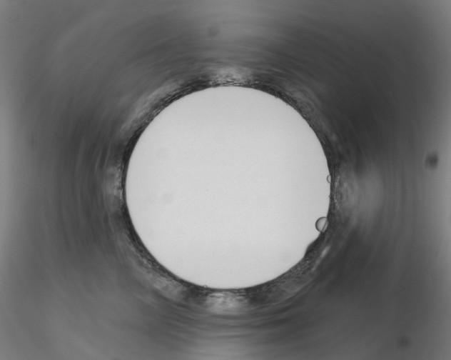 X0000115630714200912221249