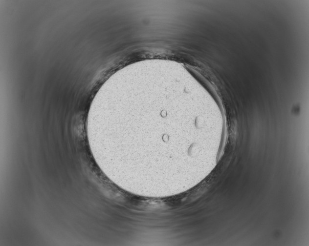 X0000115630715200912221249