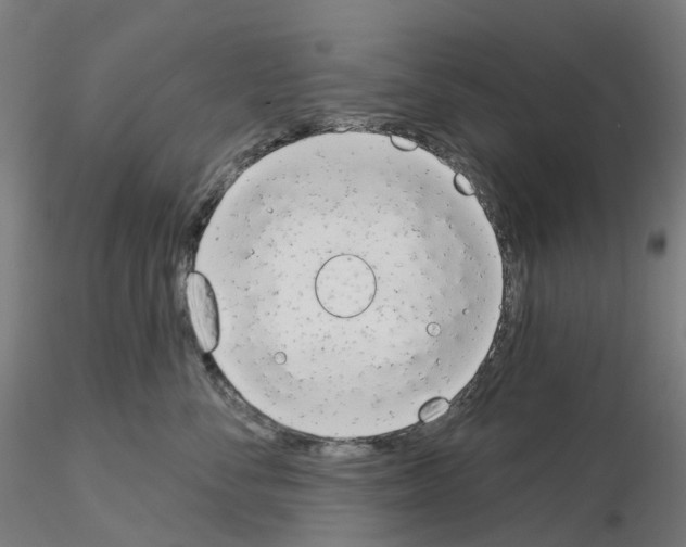 X0000115630716200912221249