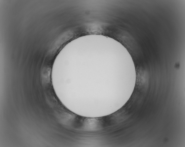 X0000115630717200912221249