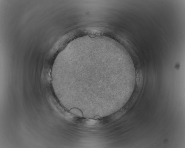 X0000115630718200912221249