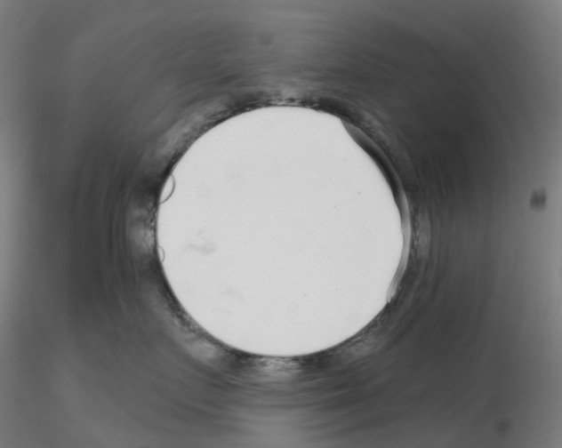 X0000115630719200912221249