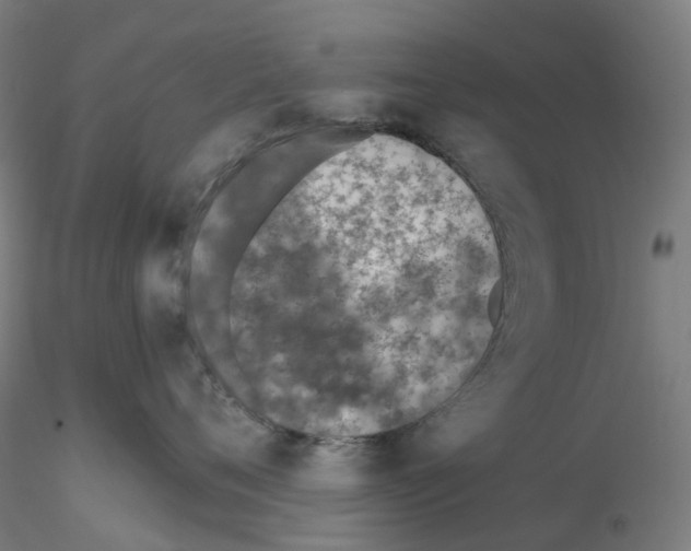 X0000115630720200912221249