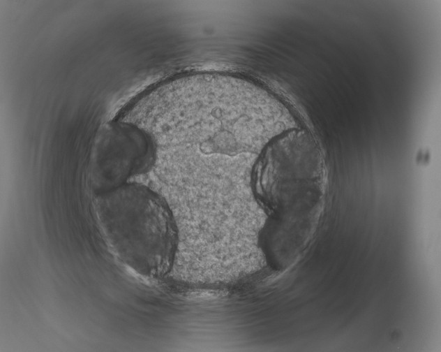 X0000115630721200912221248