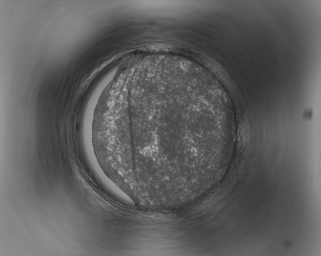 X0000115630722200912221248