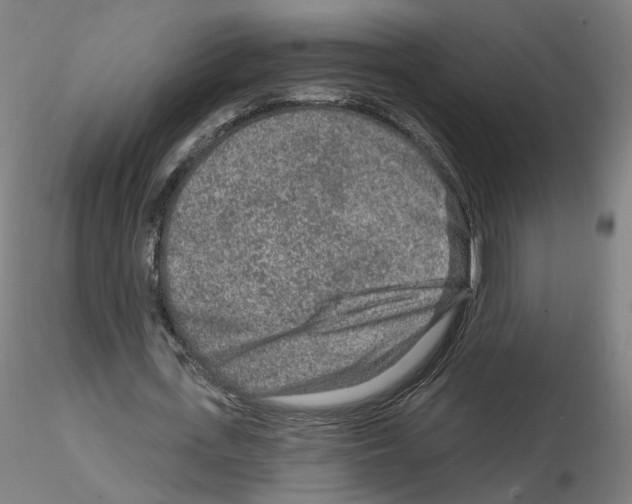 X0000115630723200912221248