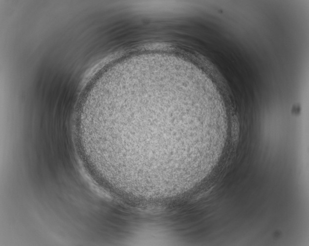 X0000115630725200912221248