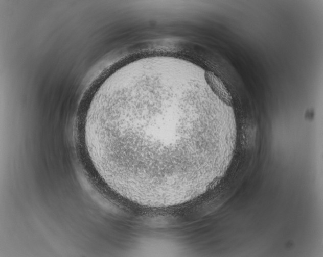 X0000115630726200912221248