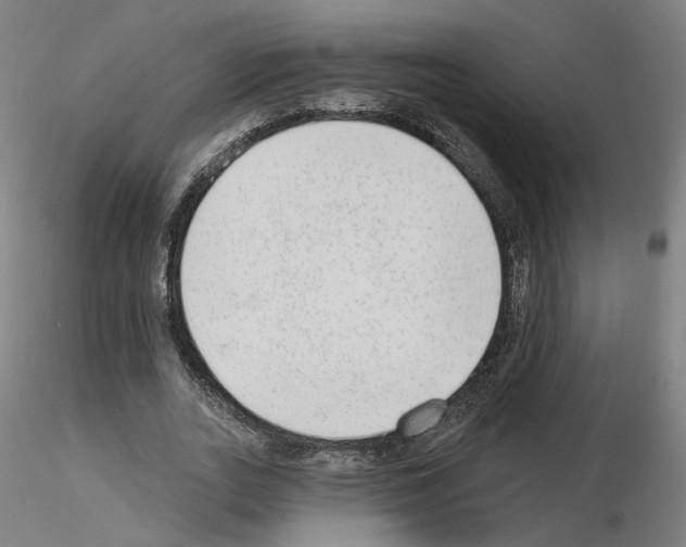 X0000115630727200912221248