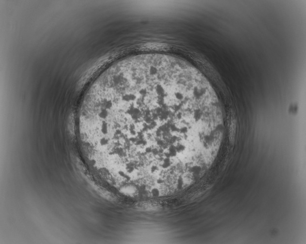 X0000115630729200912221248