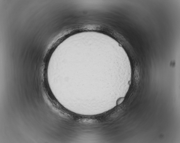 X0000115630730200912221248