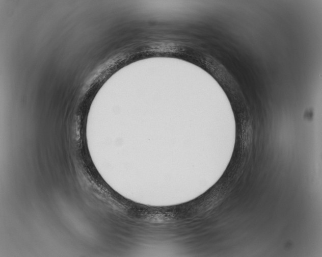 X0000115630731200912221248