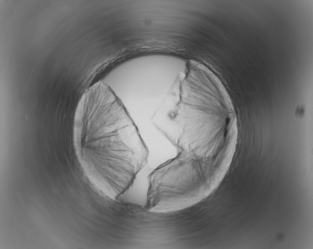 X0000115630733200912221248