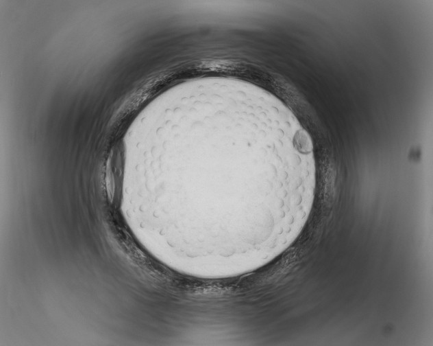 X0000115630734200912221248