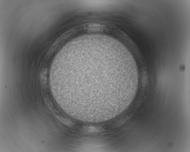 X0000115630737200912221248