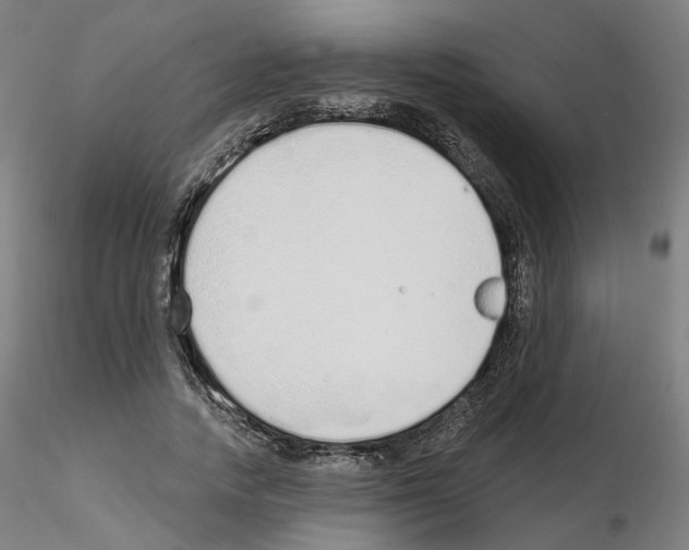 X0000115630738200912221249