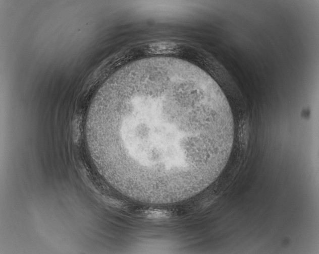 X0000115630741200912221249