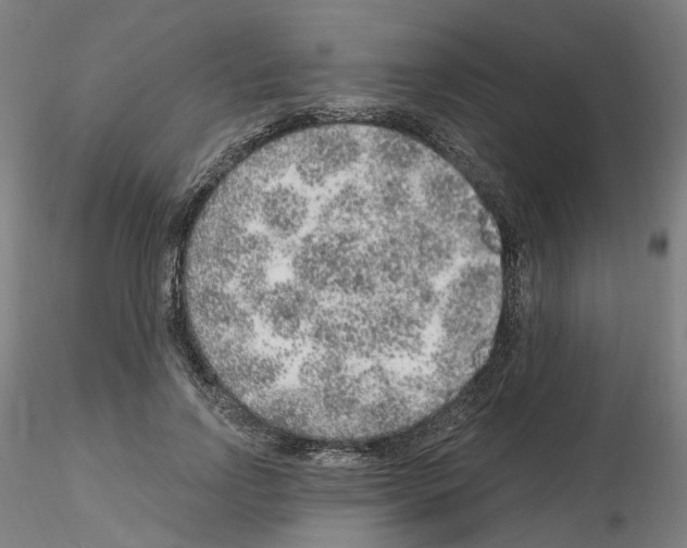 X0000115630742200912221249