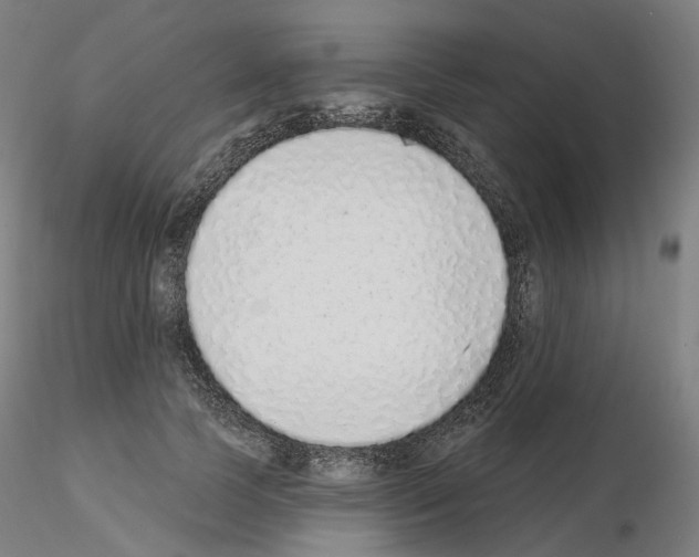 X0000115630745200912221249