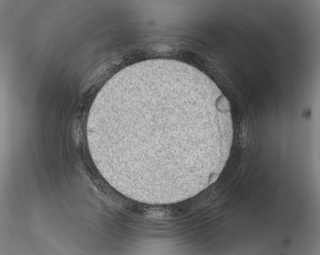X0000115630746200912221249
