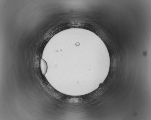 X0000115630751200912221249