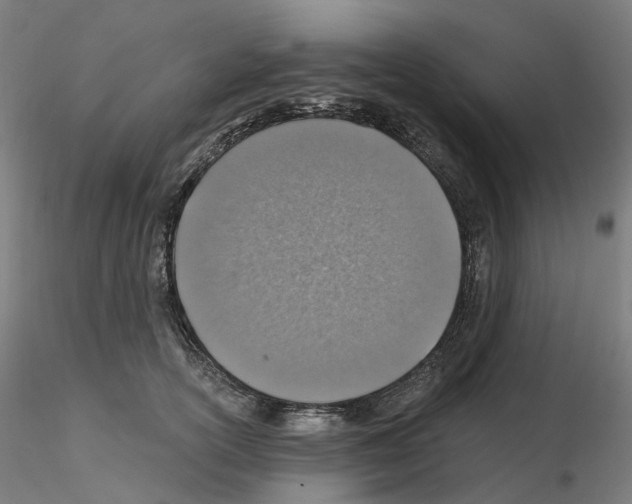 X0000115630754200912221249
