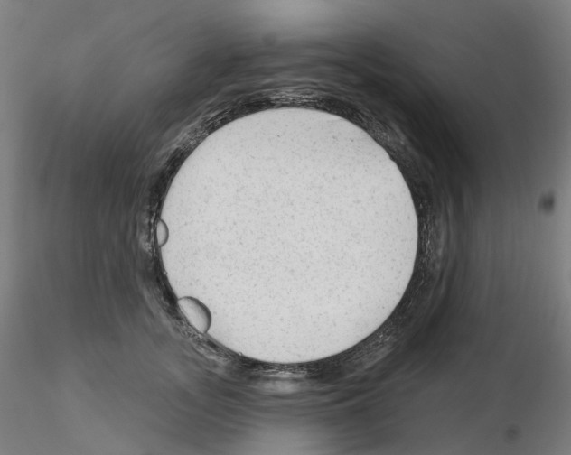 X0000115630755200912221249
