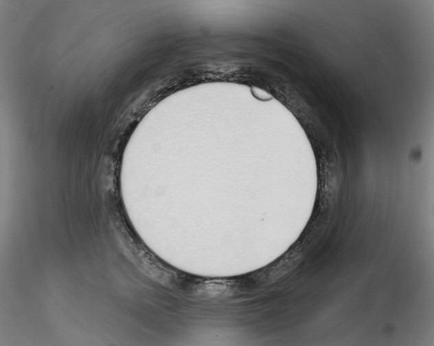 X0000115630758200912221249