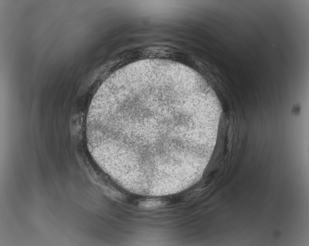 X0000115630759200912221249