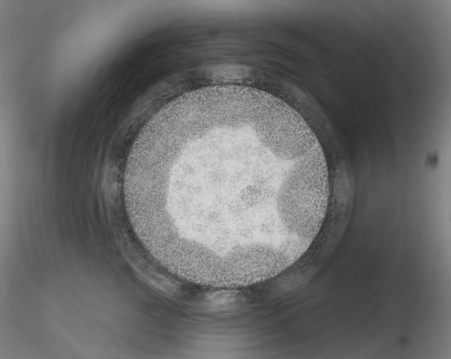 X0000115630761200912221249