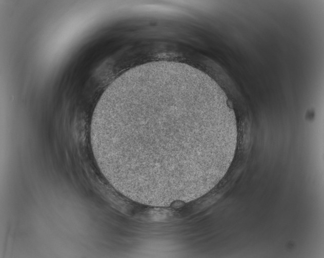 X0000115630762200912221249